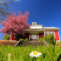 Yankton Arthur Academy